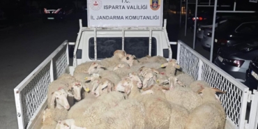 32 Küçükbaş Hayvan Çalıp Yakalandılar!