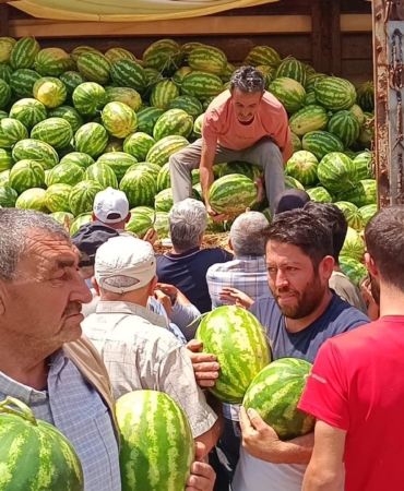 Sandıklı’da 20 Ton Karpuz Vatandaşa Dağıtıldı!