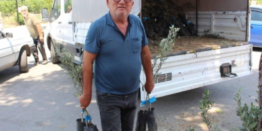 Büyükşehirden zeytin seferberliği