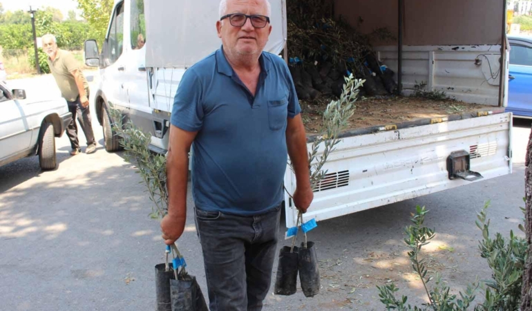 Büyükşehirden zeytin seferberliği