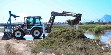 Boğaçayı'nda her gün 6 ile 8 ton arası sucul ot toplanıyor