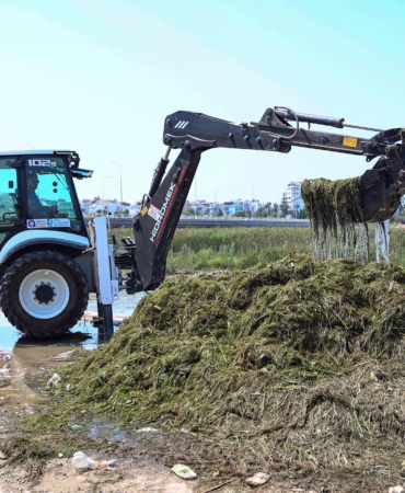 Boğaçayı'nda her gün 6 ile 8 ton arası sucul ot toplanıyor