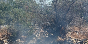 Makilik yangını ormana sıçramadan söndürüldü