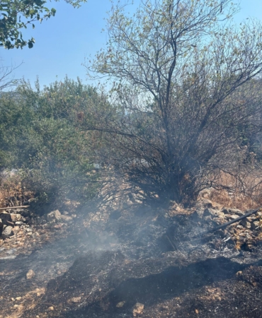 Makilik yangını ormana sıçramadan söndürüldü