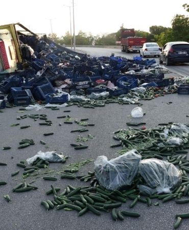 Sebze yüklü kamyon devrildi, sürücü yaralandı