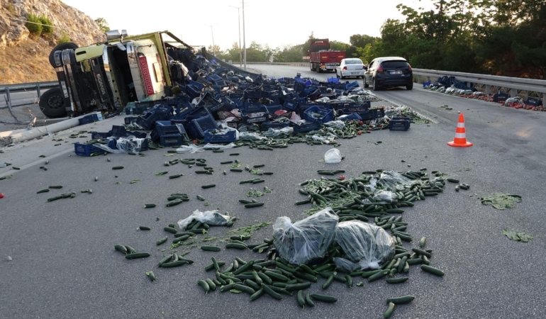 Sebze yüklü kamyon devrildi, sürücü yaralandı