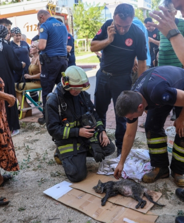 Yanan evini görünce bayıldı, dumandan etkilenen kedisine itfaiye eri oksijen verdi