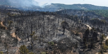 Eskişehir’de çıkan orman yangını, 3’üncü günde Afyonkarahisar’da sürüyor (2)