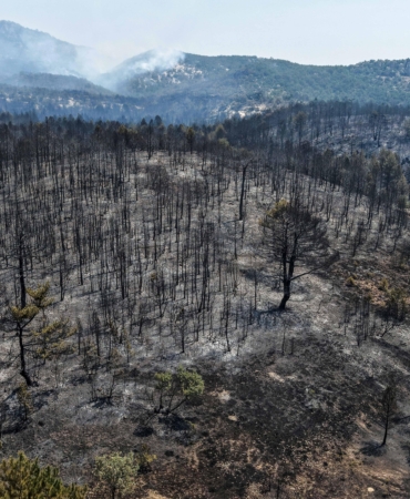 Eskişehir’de çıkan orman yangını, 3’üncü günde Afyonkarahisar’da sürüyor (2)