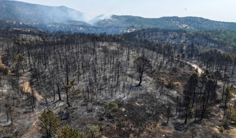 Eskişehir’de çıkan orman yangını, 3’üncü günde Afyonkarahisar’da sürüyor (2)