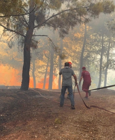 Antalya’da 3 ayrı orman yangını (2)