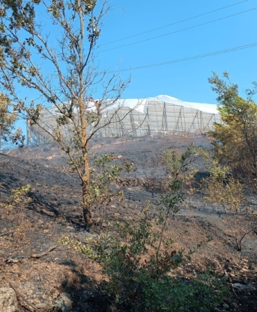 Makilik yangınları büyümeden söndürüldü