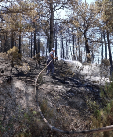 Eskişehir’de çıkıp, Afyonkarahisar’a sıçrayan yangın kontrol altında