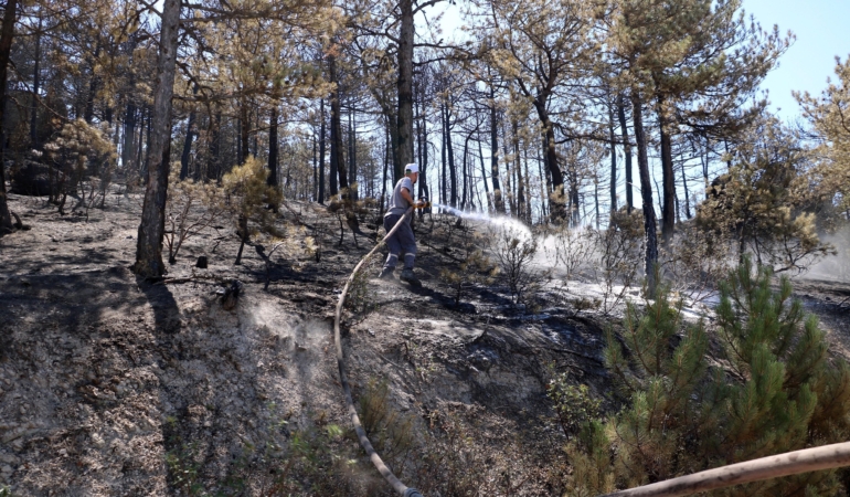 Eskişehir’de çıkıp, Afyonkarahisar’a sıçrayan yangın kontrol altında