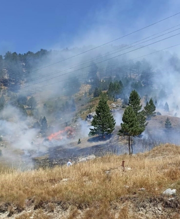 Antalya’da 4 orman yangın kontrol altında, 2’sine müdahale sürüyor (9)