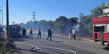 Yol kenarındaki ağaçlıkta çıkan yangın söndürüldü