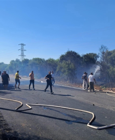 Yol kenarındaki ağaçlıkta çıkan yangın söndürüldü