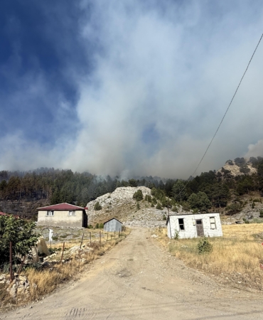 Antalya’da 4 orman yangını kontrol altında, 2’sine müdahale sürüyor (13)