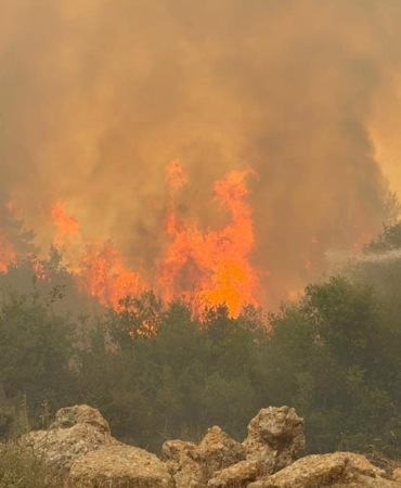Antalya’da rekor sıcaklıkta ‘orman yangını fırtınası’- Yeniden