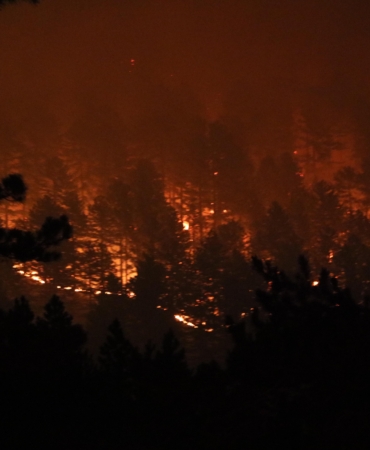 Antalya’da rekor sıcaklıkta ‘orman yangını fırtınası’ (2)