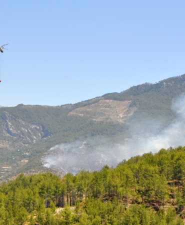 Antalya’nın 2 ilçesindeki orman yangınlarına müdahale 2’nci günde de sürüyor