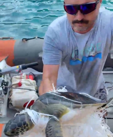 Çuvala dolanan caretta carettayı kurtardı