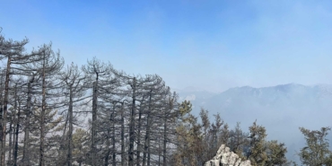 Antalya’da 2 orman yangını sürüyor; 1’i kontrol altında (2)