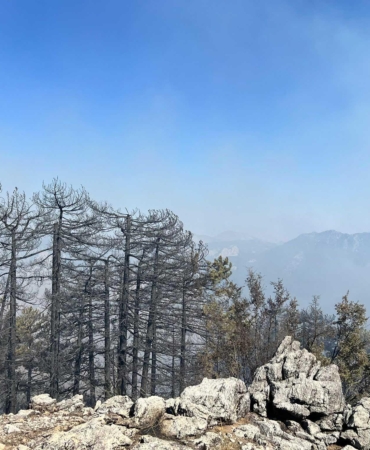 Antalya’da 2 orman yangını sürüyor; 1’i kontrol altında (2)