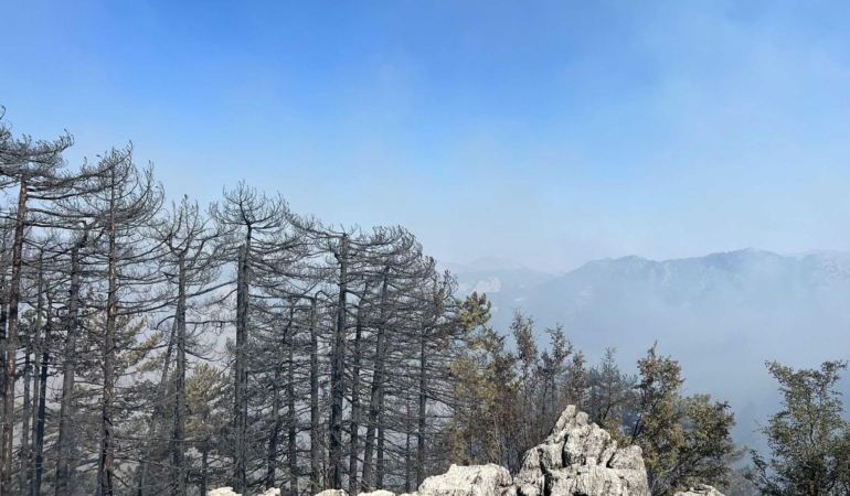 Antalya’da 2 orman yangını sürüyor; 1’i kontrol altında (2)