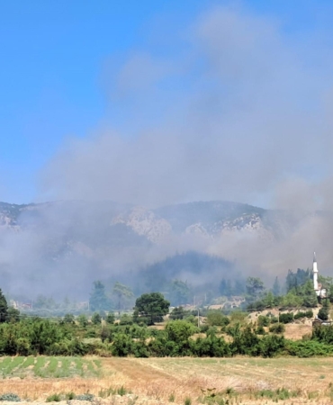 Antalya’da 2 orman yangını sürüyor; 2’si kontrol altında (4)