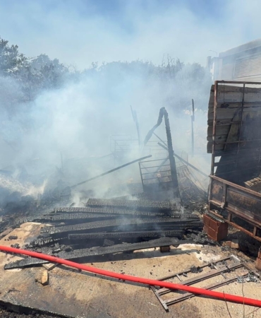 Portakal bahçesinde çıkan yangın büyümeden söndürüldü
