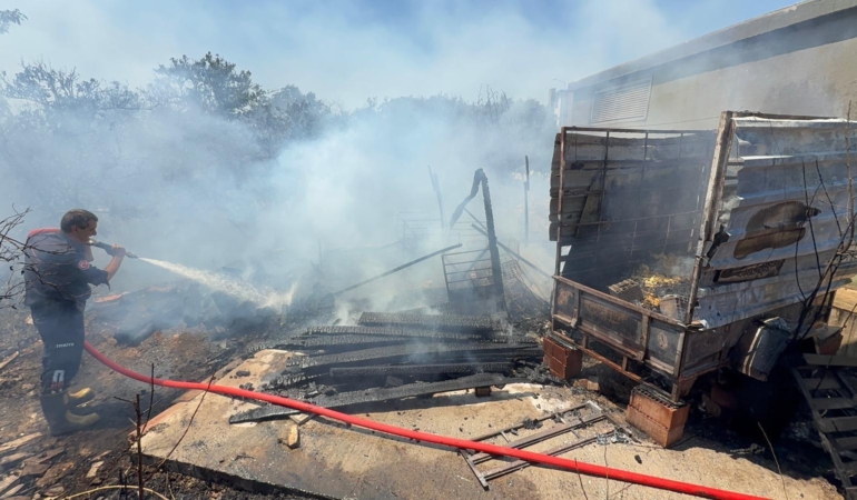 Portakal bahçesinde çıkan yangın büyümeden söndürüldü