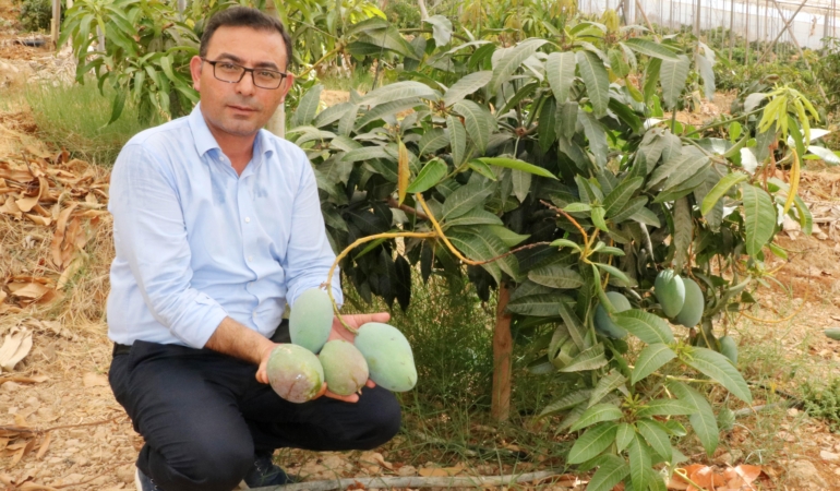 ‘Tüketicimiz yerli mangoyu tercih etsin’