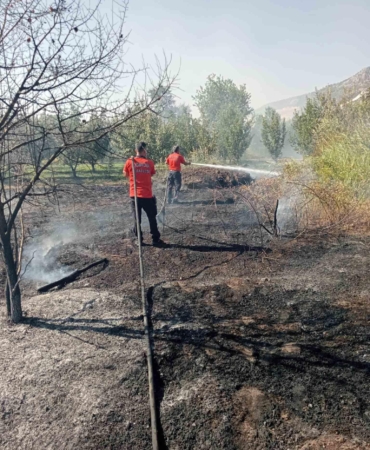 Bahçedeki yangın korkuttu