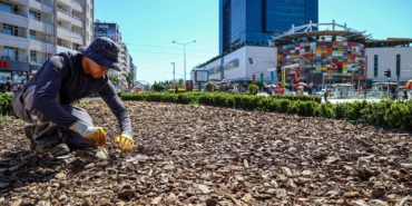 Kurakçıl peyzaj çalışmalarıyla su ve enerji tasarrufu sağlanıyor
