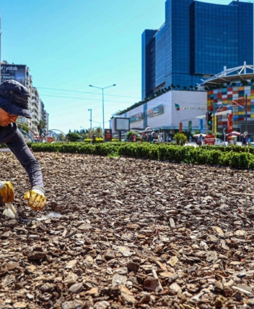Kurakçıl peyzaj çalışmalarıyla su ve enerji tasarrufu sağlanıyor