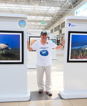 Akdeniz’in sessiz tanıkları terminalde sergileniyor