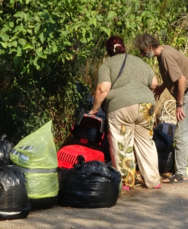 Boşaltılan evde hasta 5 kedi daha kurtarıldı