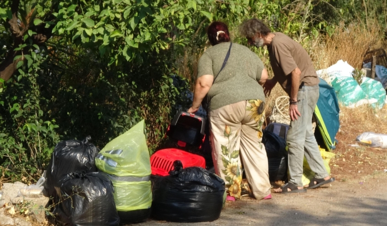 Boşaltılan evde hasta 5 kedi daha kurtarıldı