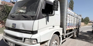 Afyonkarahisar’da kamyonun çarptığı Maşallah, öldü