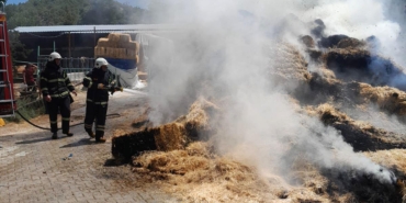 250 balya saman yandı