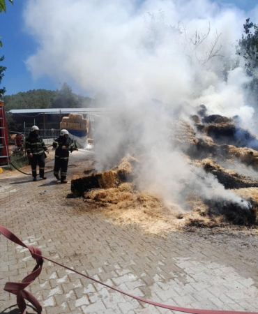 250 balya saman yandı