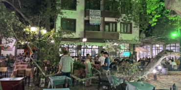 Anıt ağacın dalı düştü: 1 yaralı