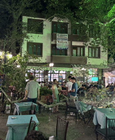 Anıt ağacın dalı düştü: 1 yaralı