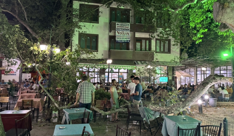 Anıt ağacın dalı düştü: 1 yaralı