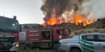 Afyonkarahisar’da orman yangını