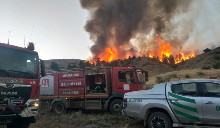 Afyonkarahisar’da orman yangını