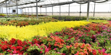 Öz Kaynaklarla Bitki Üretiminde Örnek Hizmet