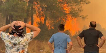 6 aydaki 118 orman yangınında, 540.2 hektar alan zarar gördü