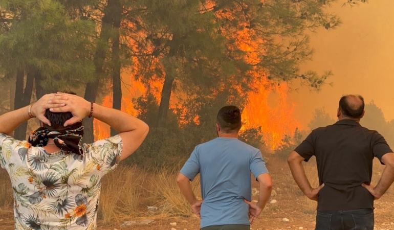 6 aydaki 118 orman yangınında, 540.2 hektar alan zarar gördü